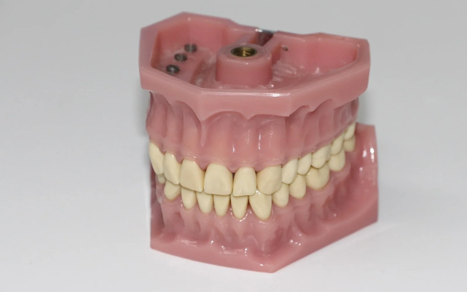 Dental prosthesis, artificial teeth and dentition
