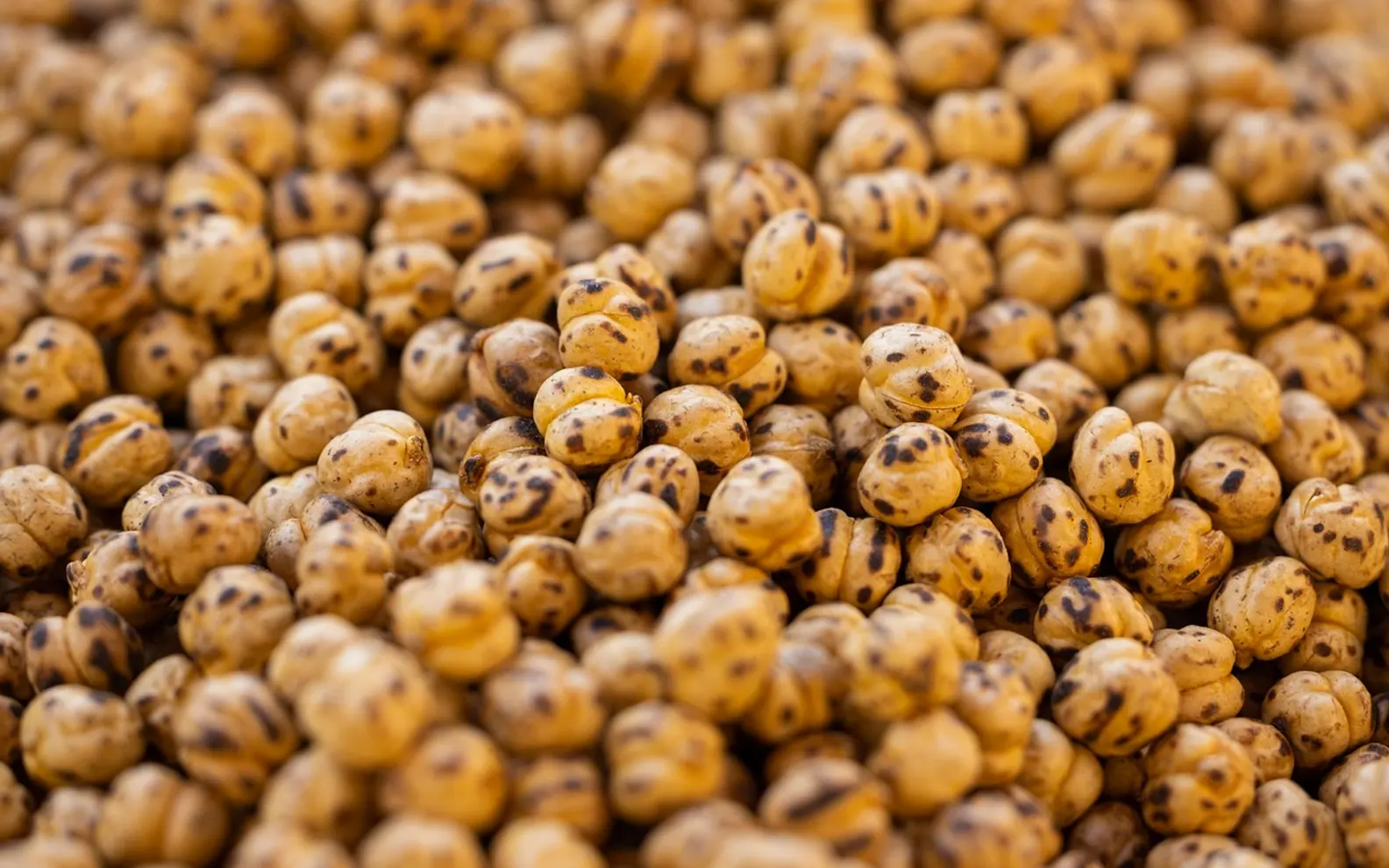 Roasted chickpea, chickpeas and roasted